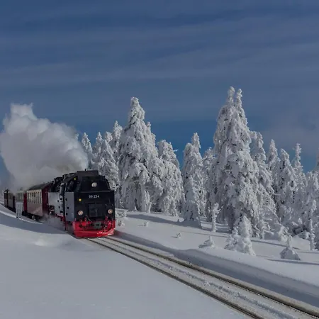 アパート Schlossblick #innenstadt #garten #netflix Von Harztraveler *