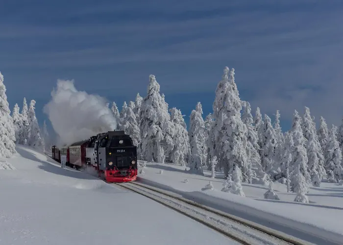 アパート Schlossblick #innenstadt #garten #netflix Von Harztraveler *